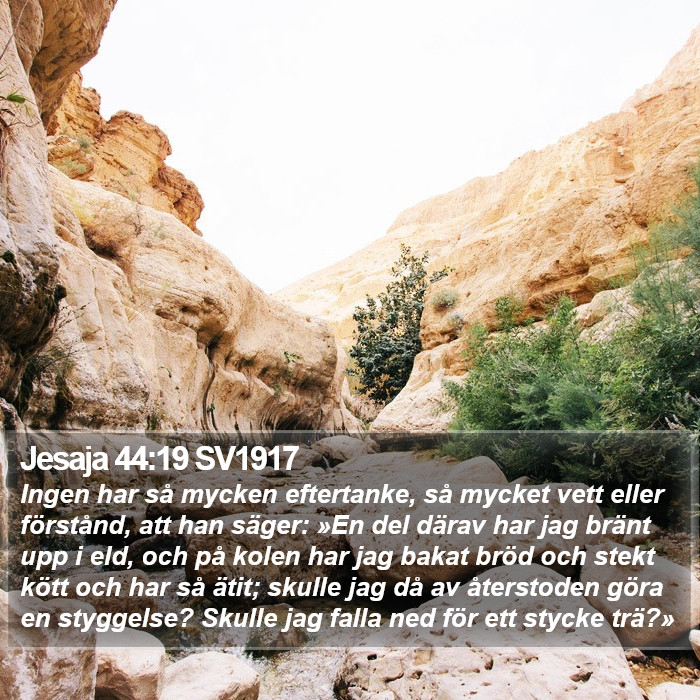 Jesaja 44:19 SV1917 Bible Study