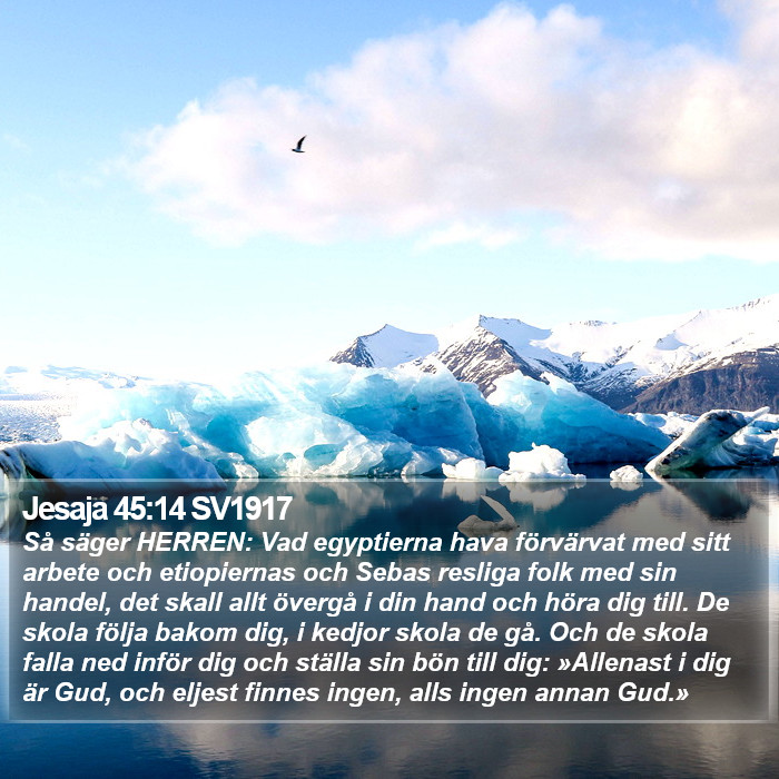 Jesaja 45:14 SV1917 Bible Study