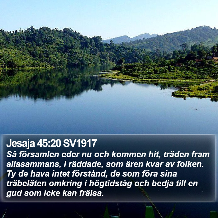 Jesaja 45:20 SV1917 Bible Study