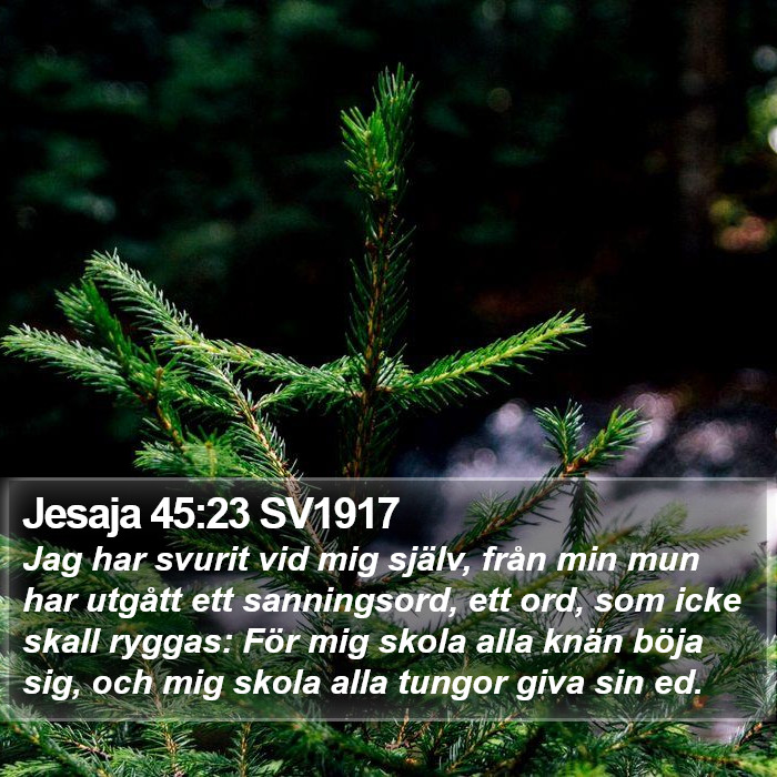 Jesaja 45:23 SV1917 Bible Study