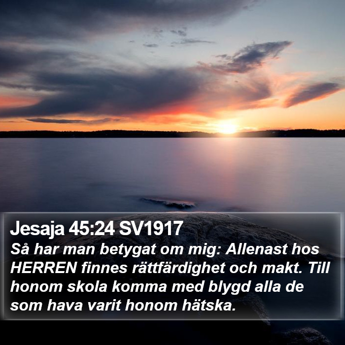 Jesaja 45:24 SV1917 Bible Study