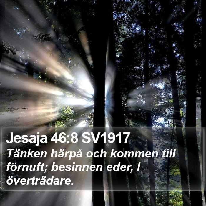 Jesaja 46:8 SV1917 Bible Study