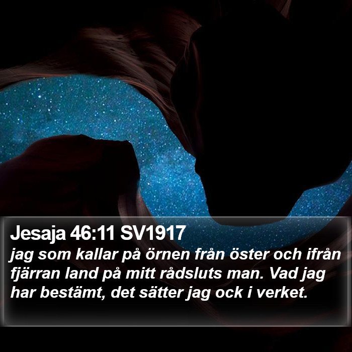 Jesaja 46:11 SV1917 Bible Study