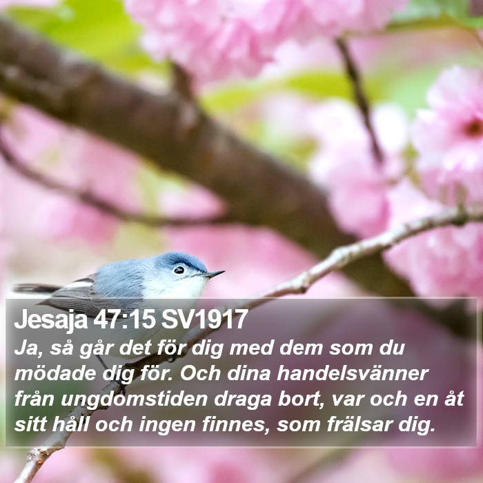 Jesaja 47:15 SV1917 Bible Study