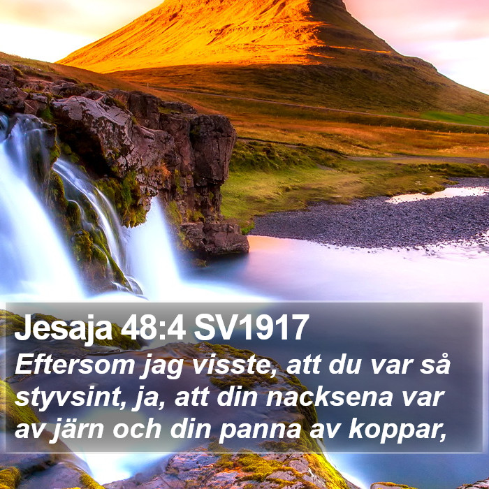 Jesaja 48:4 SV1917 Bible Study
