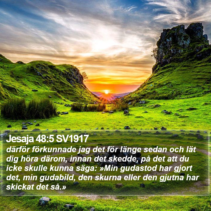 Jesaja 48:5 SV1917 Bible Study