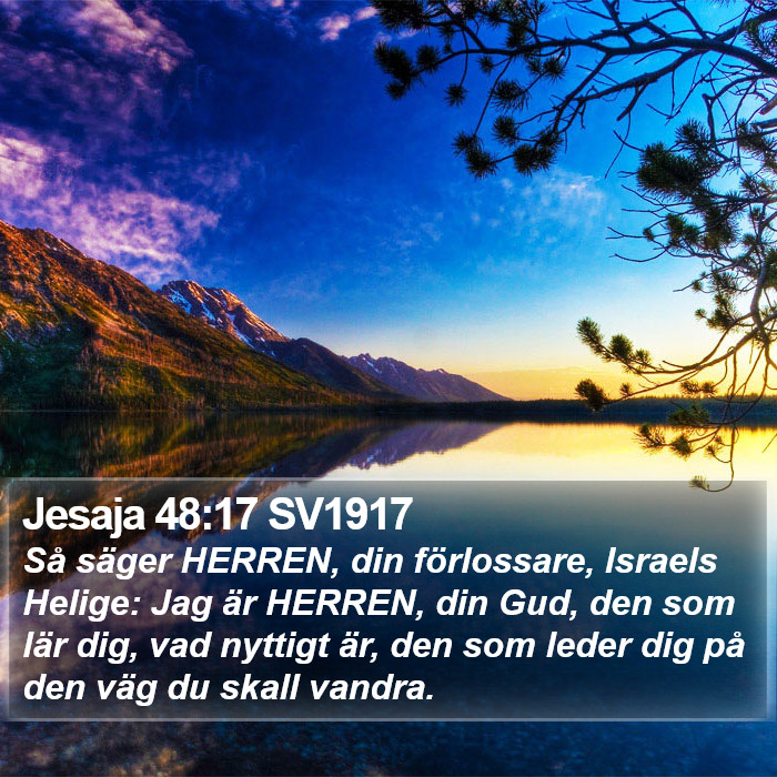 Jesaja 48:17 SV1917 Bible Study