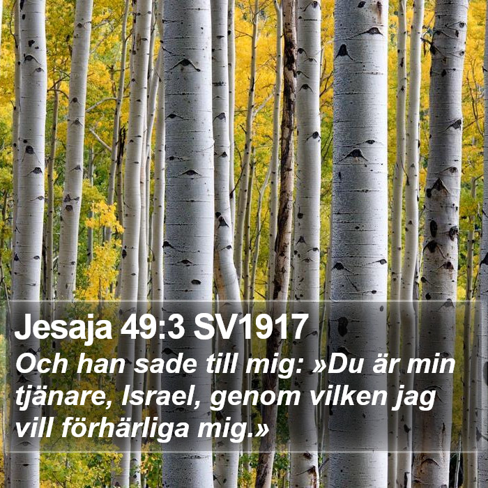 Jesaja 49:3 SV1917 Bible Study