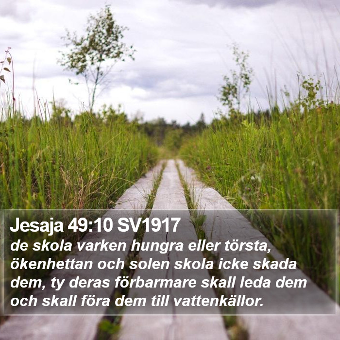 Jesaja 49:10 SV1917 Bible Study