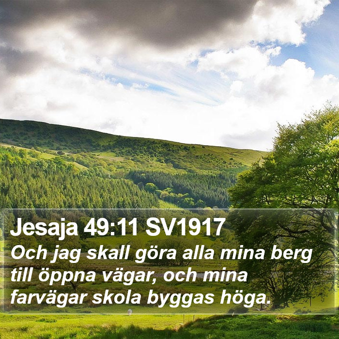 Jesaja 49:11 SV1917 Bible Study