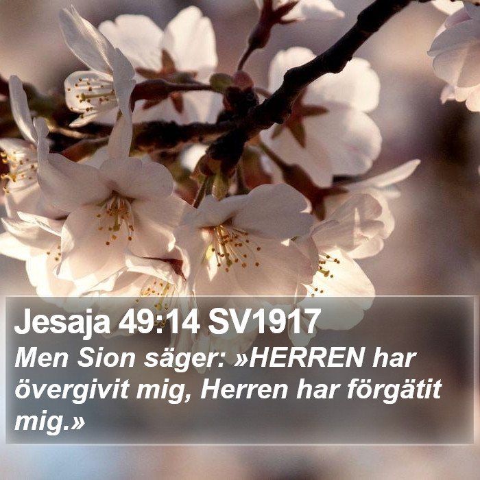 Jesaja 49:14 SV1917 Bible Study