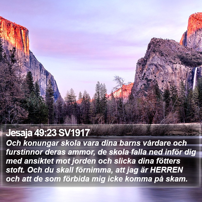 Jesaja 49:23 SV1917 Bible Study