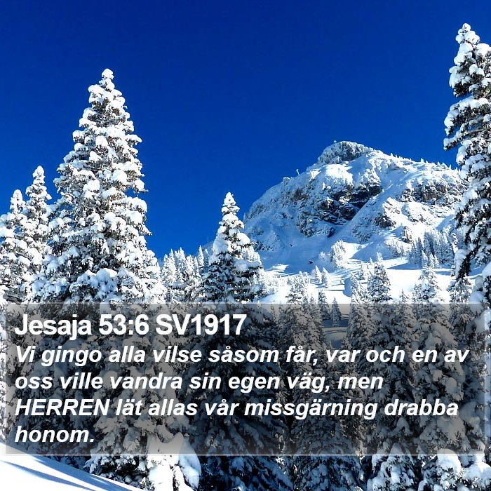 Jesaja 53:6 SV1917 Bible Study
