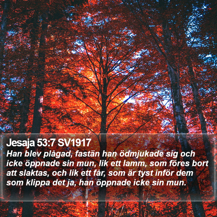 Jesaja 53:7 SV1917 Bible Study