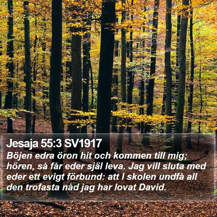 Jesaja 55:3 SV1917 Bible Study