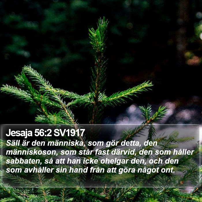 Jesaja 56:2 SV1917 Bible Study