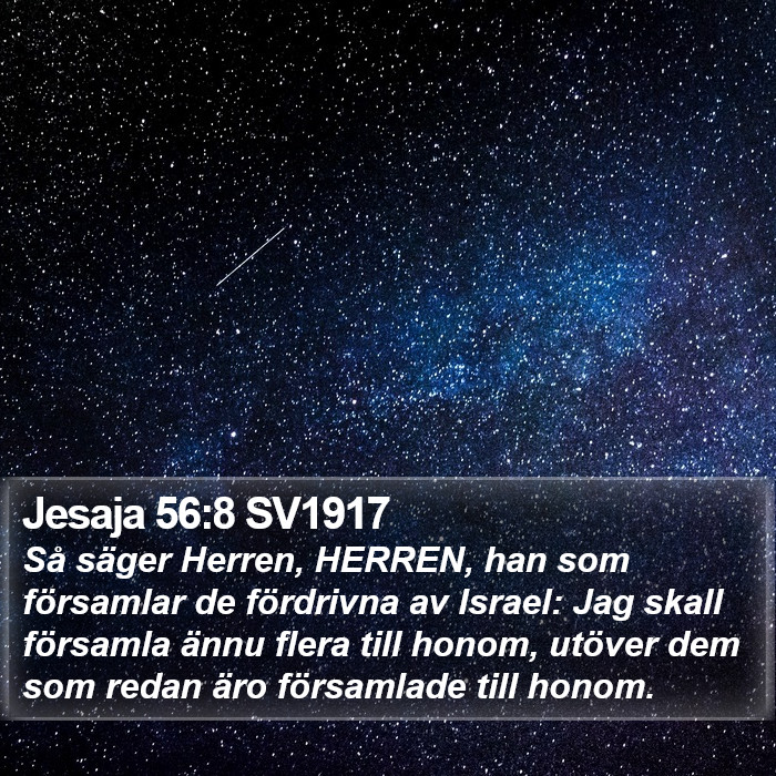 Jesaja 56:8 SV1917 Bible Study