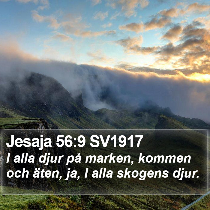 Jesaja 56:9 SV1917 Bible Study