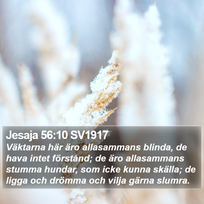 Jesaja 56:10 SV1917 Bible Study