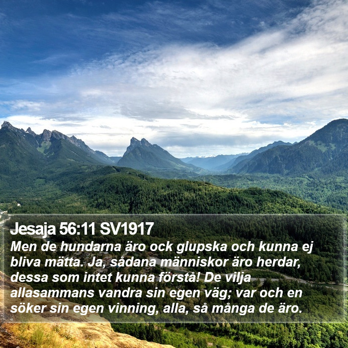 Jesaja 56:11 SV1917 Bible Study