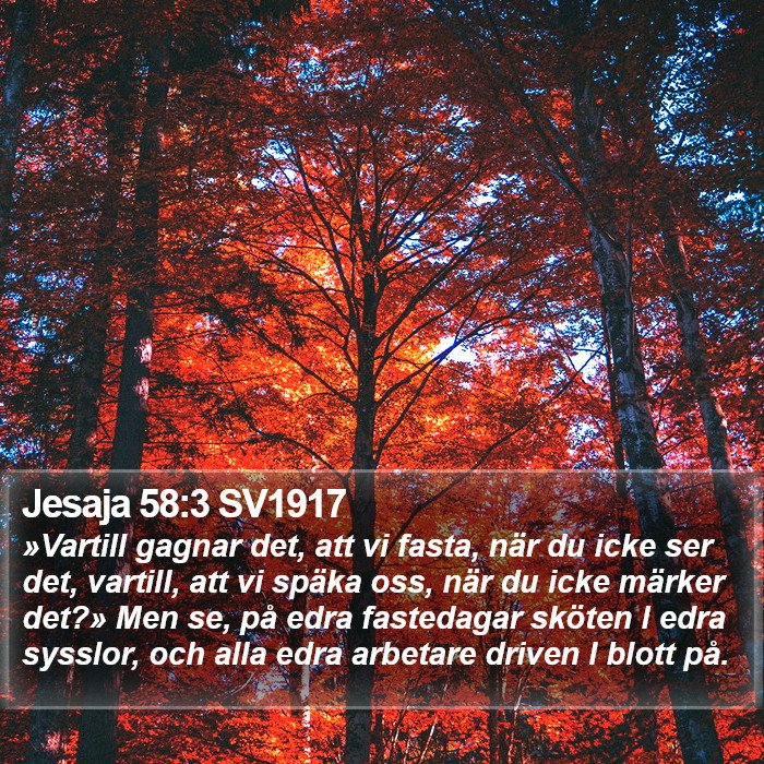 Jesaja 58:3 SV1917 Bible Study