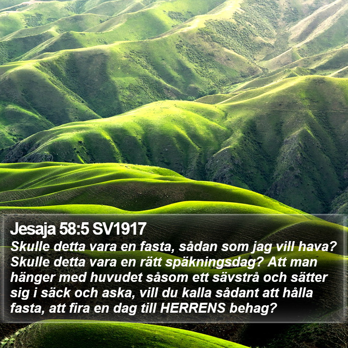 Jesaja 58:5 SV1917 Bible Study