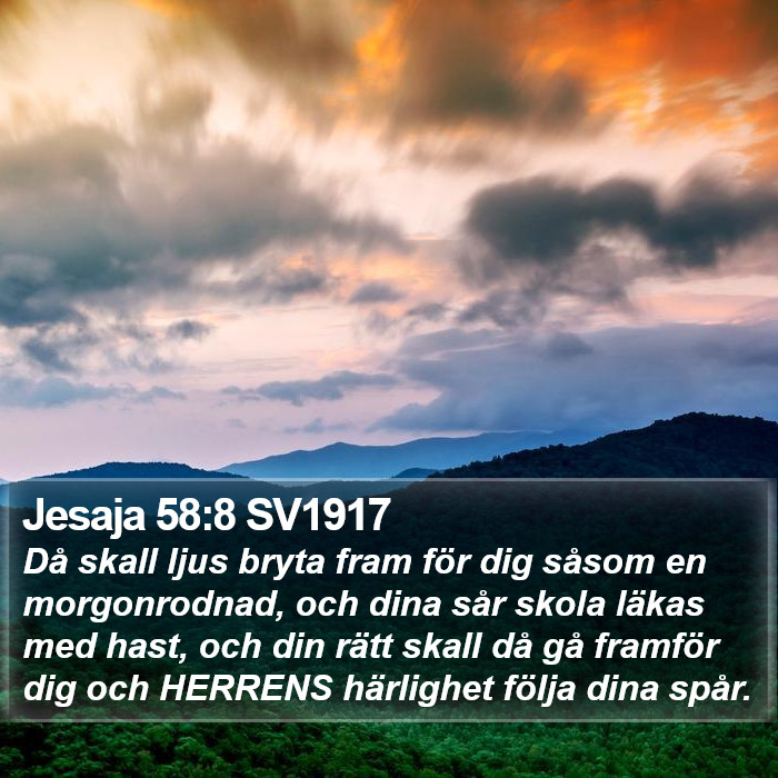 Jesaja 58:8 SV1917 Bible Study