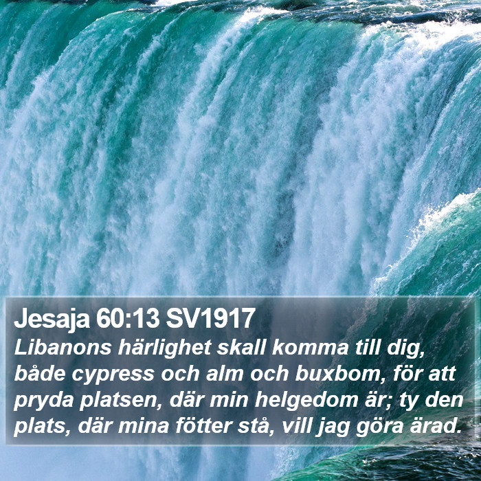 Jesaja 60:13 SV1917 Bible Study