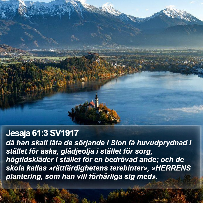 Jesaja 61:3 SV1917 Bible Study