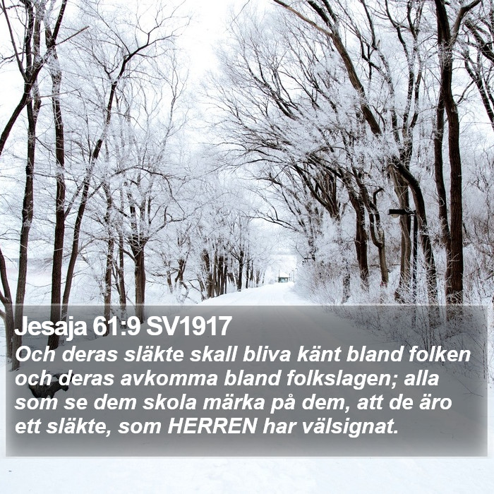 Jesaja 61:9 SV1917 Bible Study