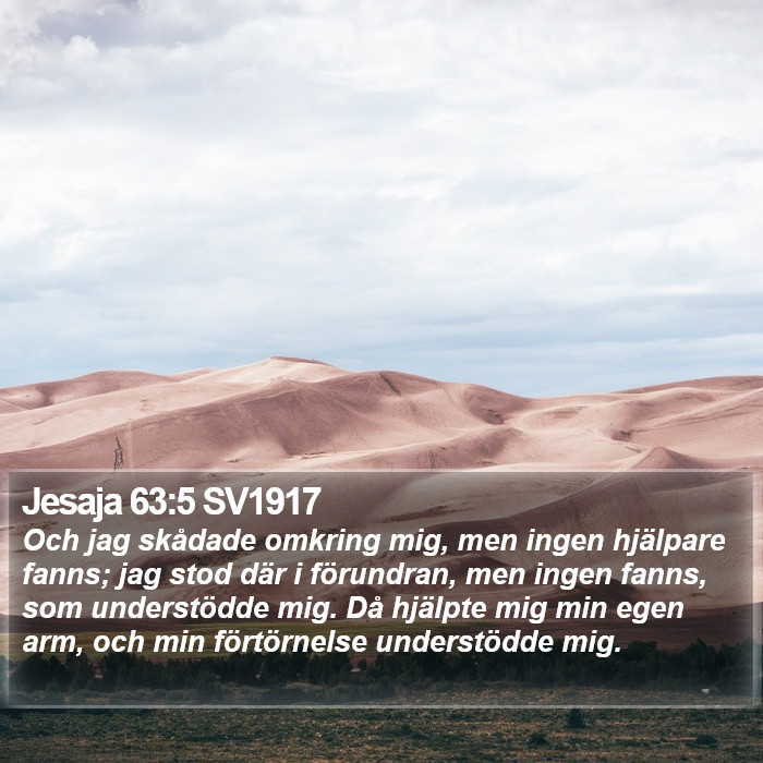 Jesaja 63:5 SV1917 Bible Study