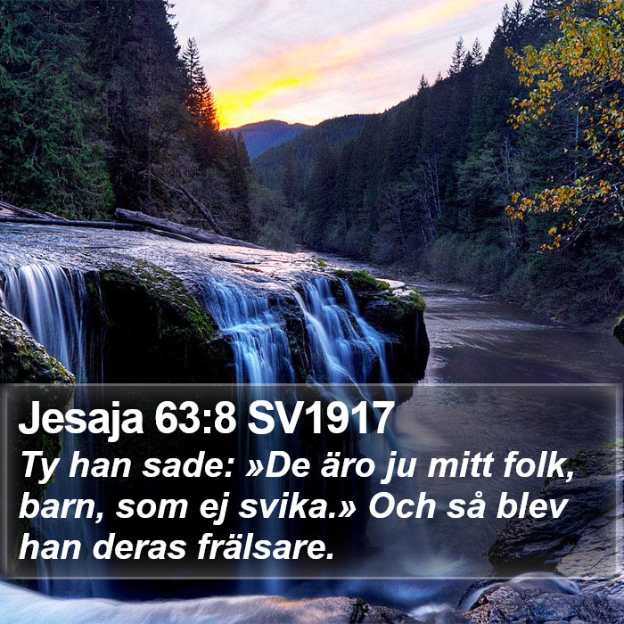 Jesaja 63:8 SV1917 Bible Study