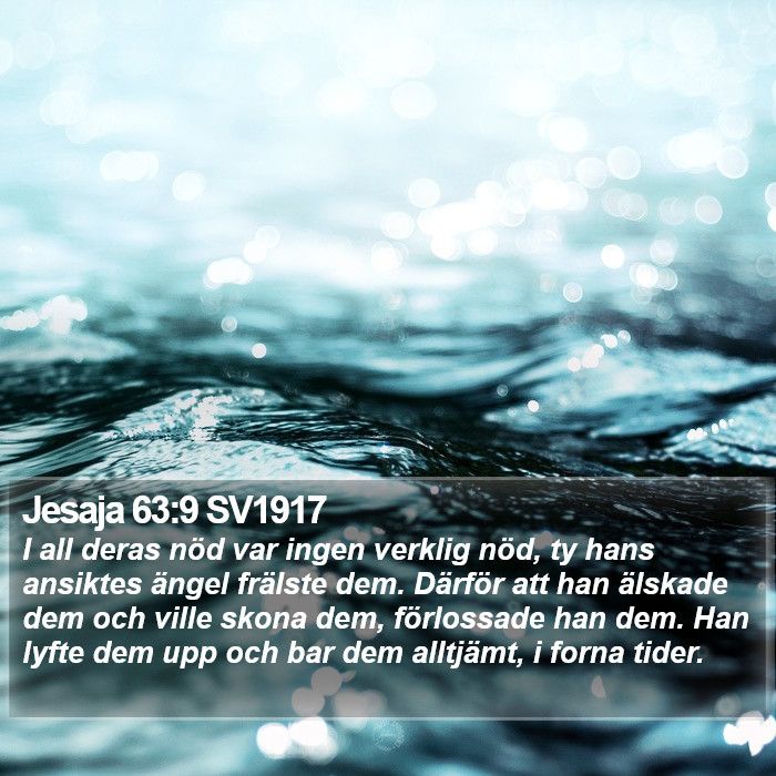 Jesaja 63:9 SV1917 Bible Study