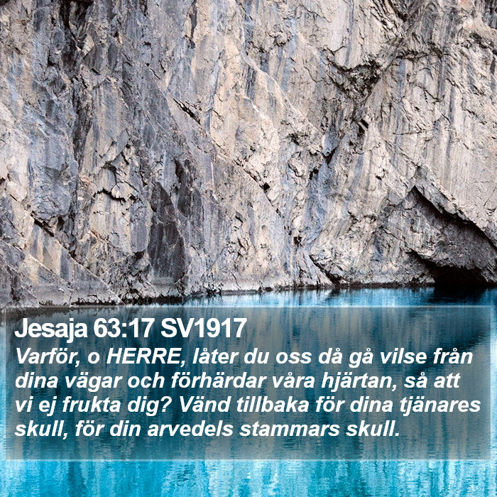 Jesaja 63:17 SV1917 Bible Study