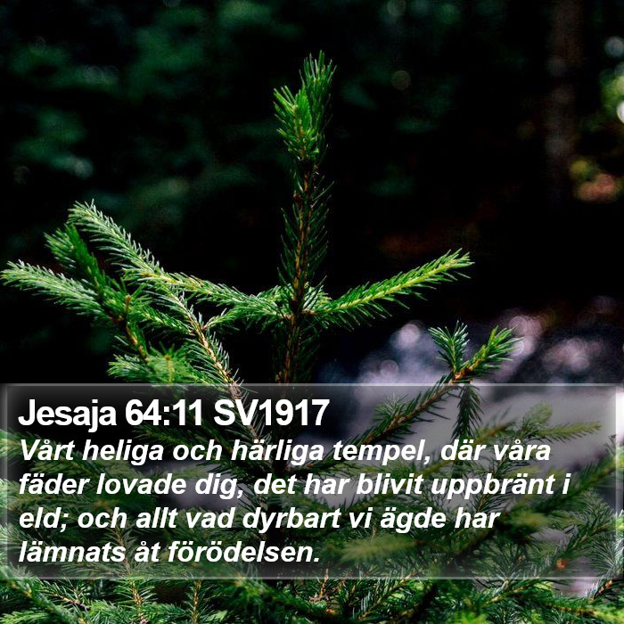 Jesaja 64:11 SV1917 Bible Study
