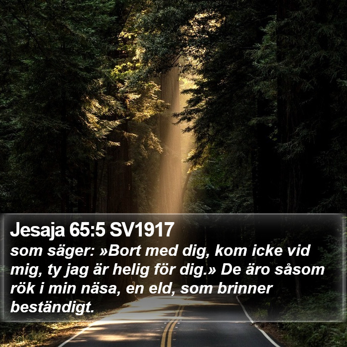 Jesaja 65:5 SV1917 Bible Study