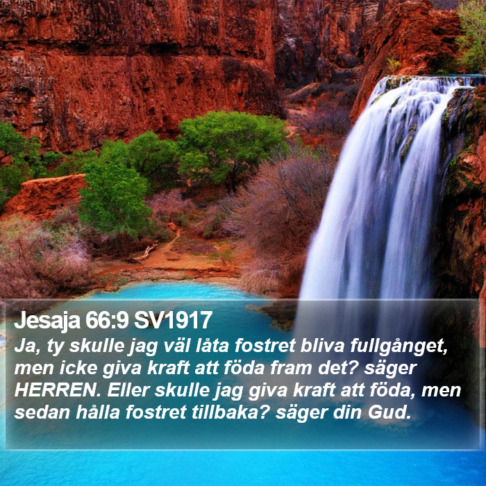 Jesaja 66:9 SV1917 Bible Study
