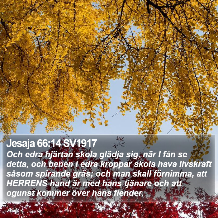Jesaja 66:14 SV1917 Bible Study