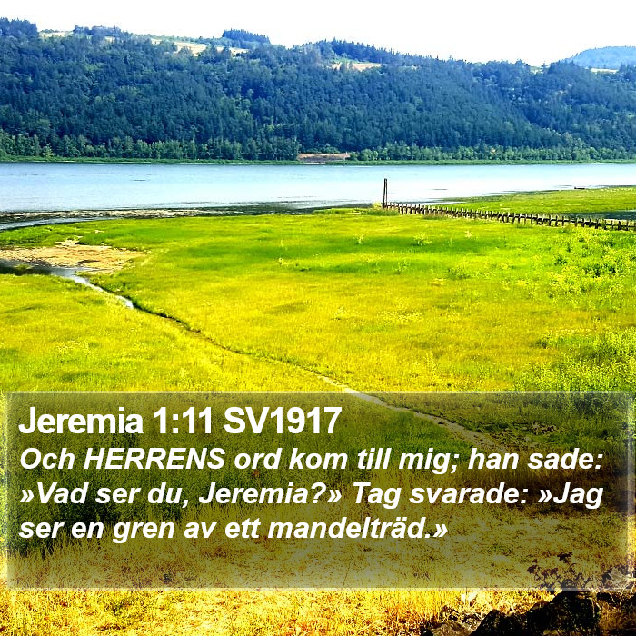 Jeremia 1:11 SV1917 Bible Study