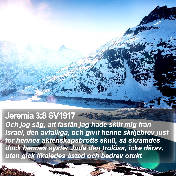 Jeremia 3:8 SV1917 Bible Study
