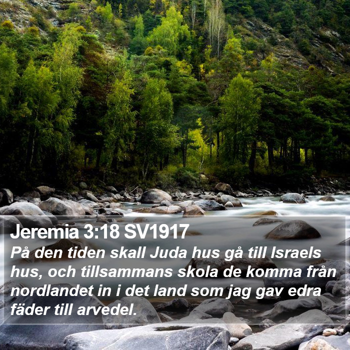 Jeremia 3:18 SV1917 Bible Study