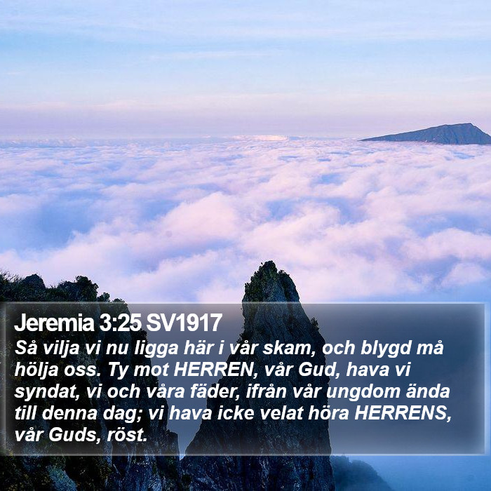 Jeremia 3:25 SV1917 Bible Study