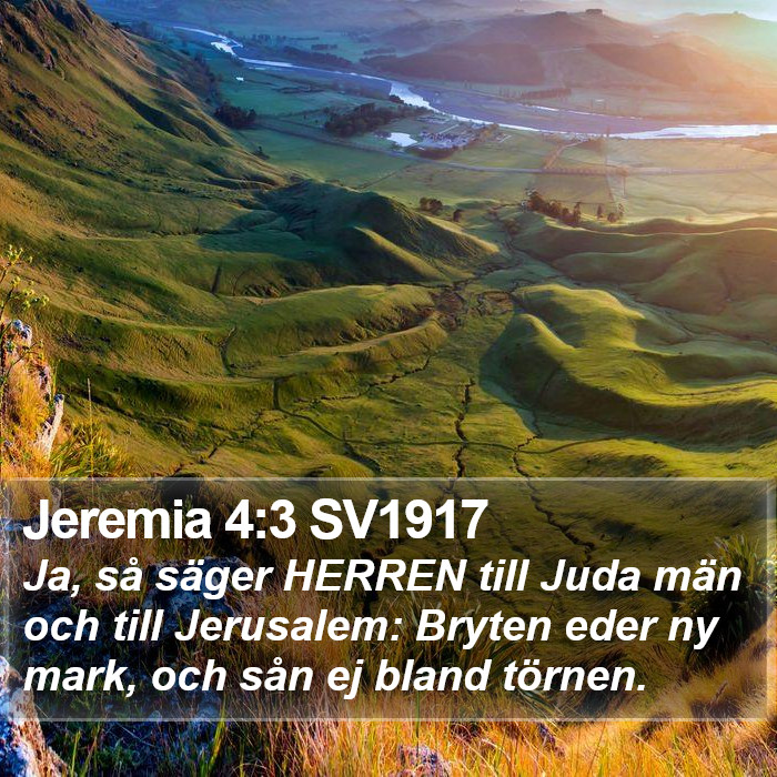 Jeremia 4:3 SV1917 Bible Study