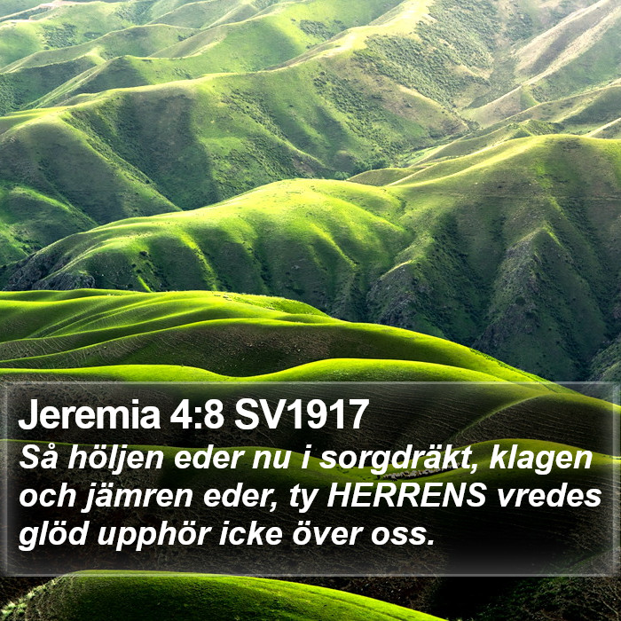 Jeremia 4:8 SV1917 Bible Study