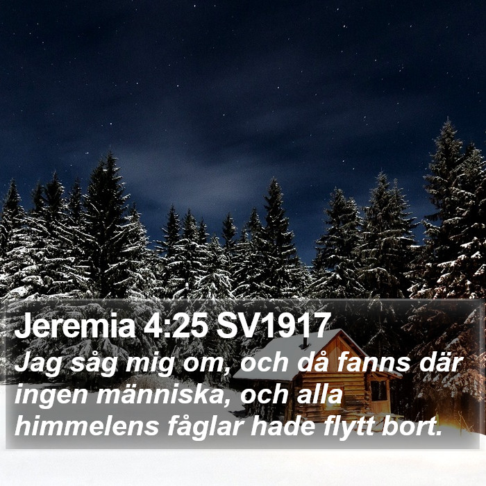Jeremia 4:25 SV1917 Bible Study