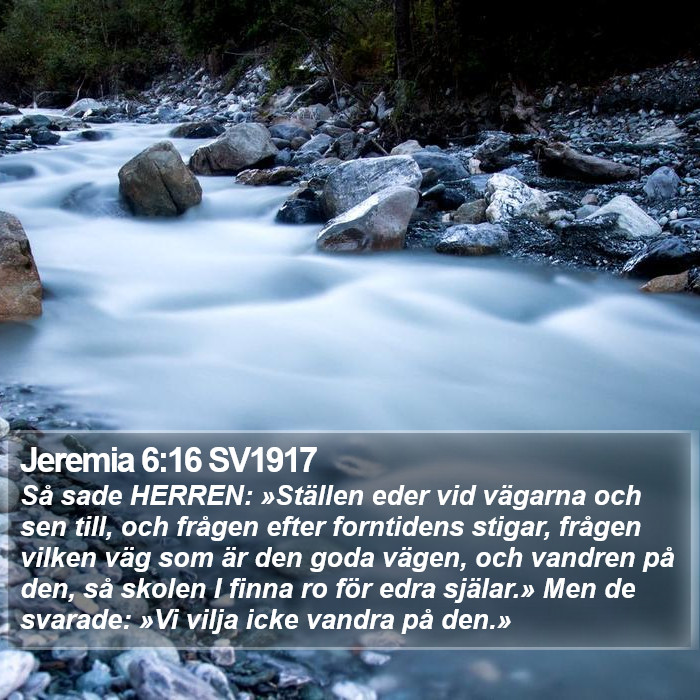 Jeremia 6:16 SV1917 Bible Study