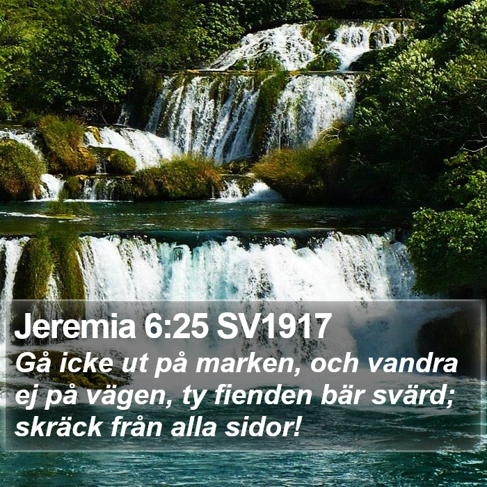 Jeremia 6:25 SV1917 Bible Study