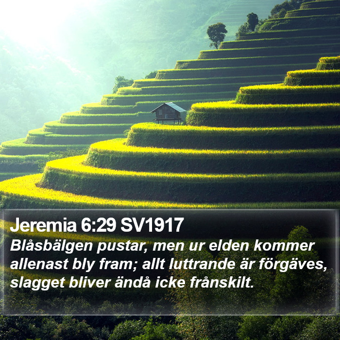 Jeremia 6:29 SV1917 Bible Study