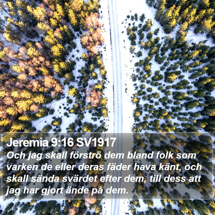 Jeremia 9:16 SV1917 Bible Study