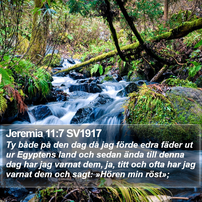 Jeremia 11:7 SV1917 Bible Study